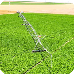 agriculture irrigation