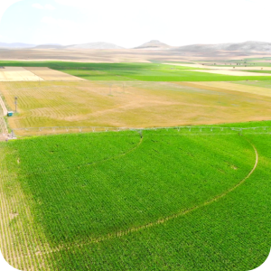 center pivot