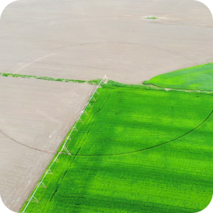 center pivot