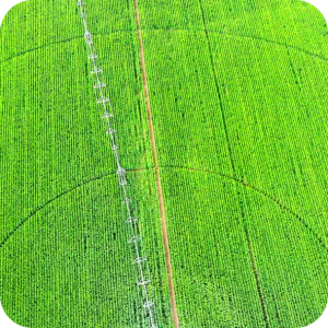 center pivot
