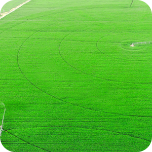 center pivot