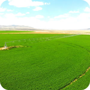 agriculture irrigation