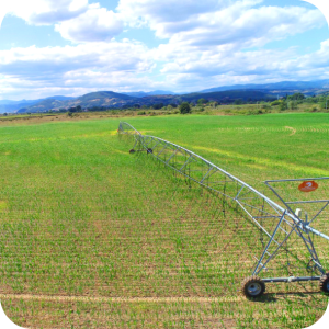 agriculture irrigation