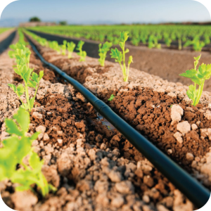 agriculture irrigation